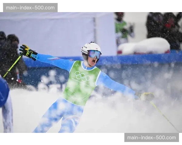 自由式滑雪男子障碍追逐决赛：意大利选手德罗梅迪斯夺金